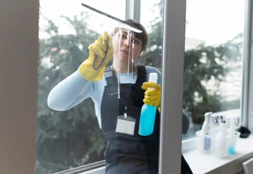 Nettoyage de vitres intérieures et extérieures à Vallerois-Lorioz